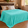 Frazada Afelpada Nube 190 x 190 cm | Súper Suave para Cama - Menta