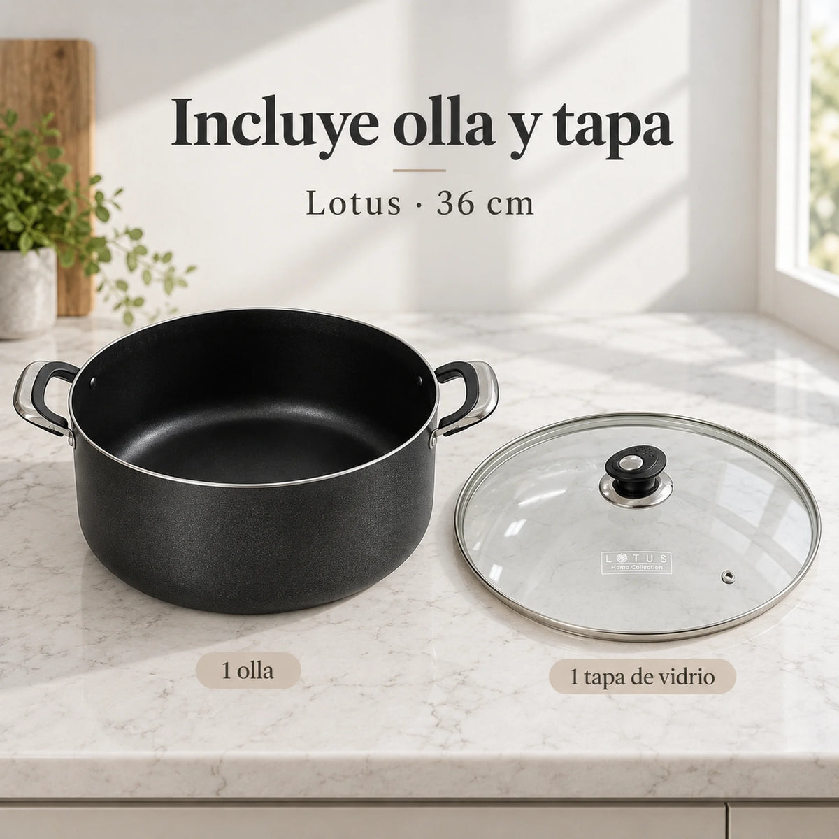 Olla antiadherente Lotus de 36 cm y su tapa de vidrio por separado