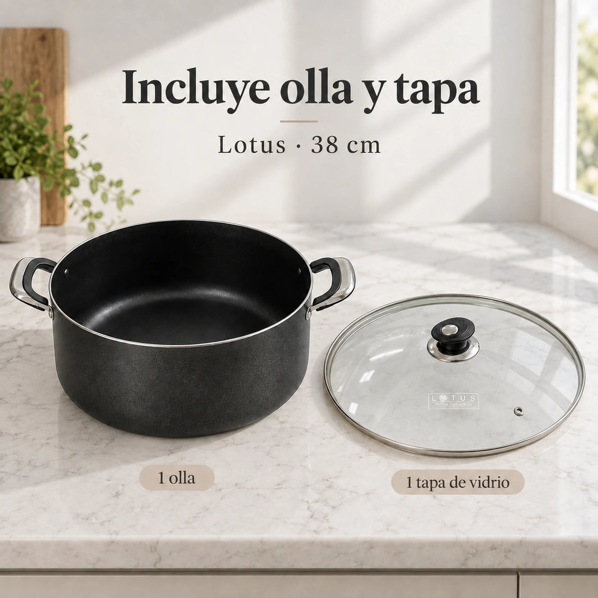 Olla antiadherente Lotus de 38 cm y su tapa de vidrio por separado
