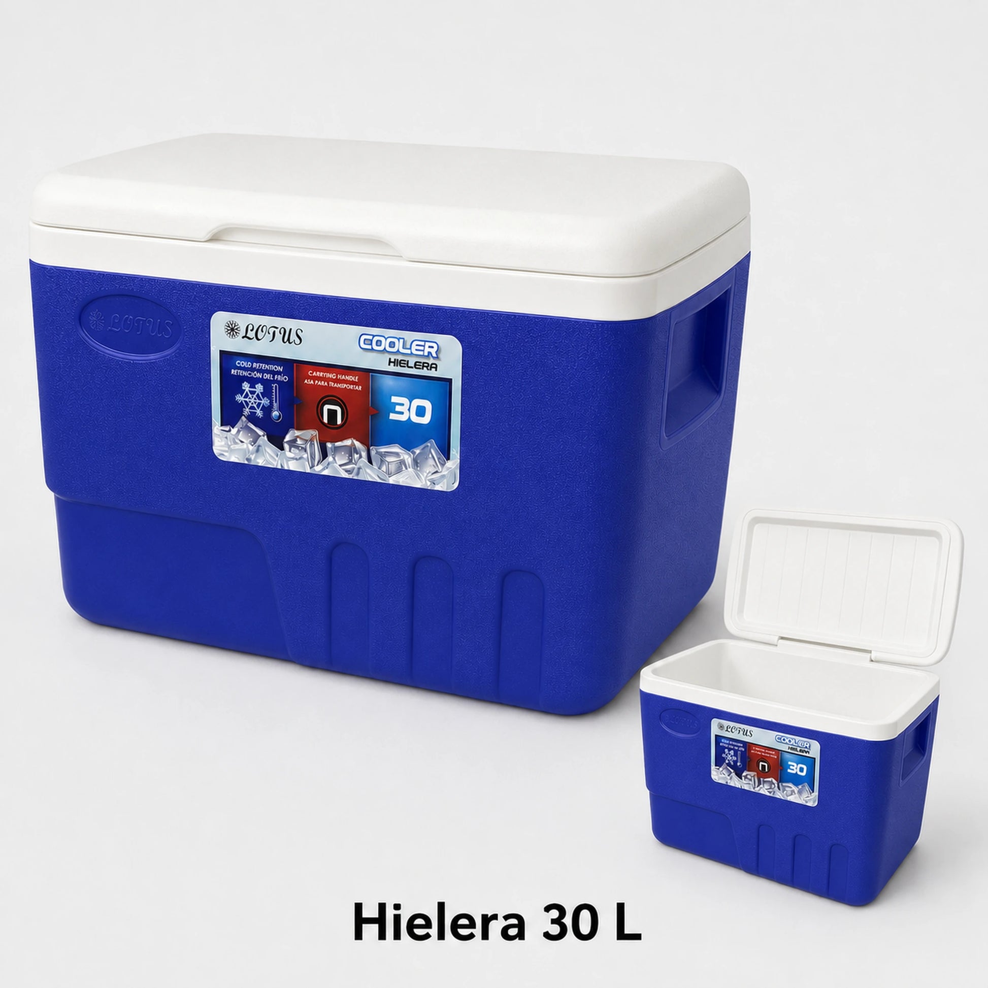 Interior de la hielera Lotus en azul de 30 litros