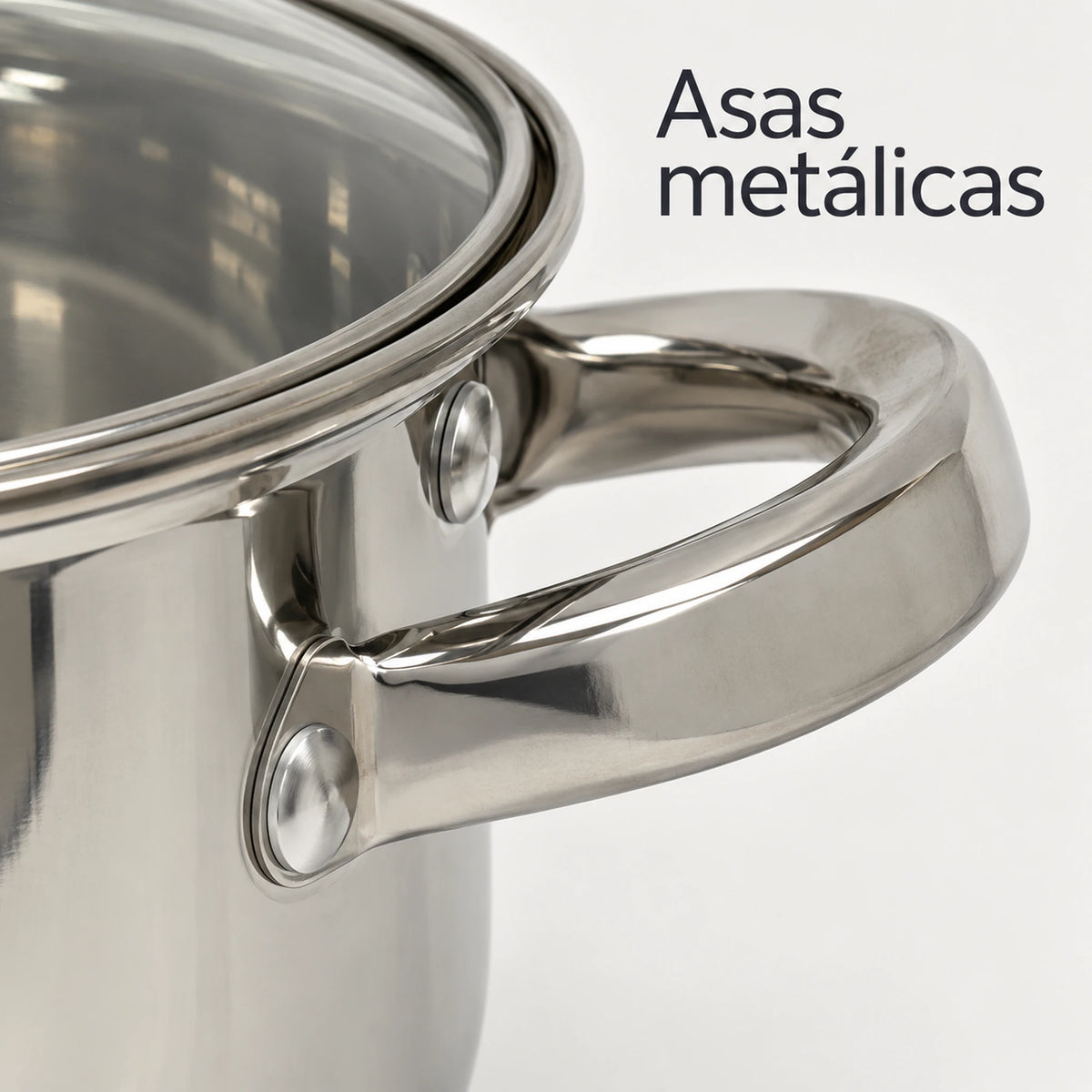 Asas metálicas remachadas de la olla Epicure Roma
