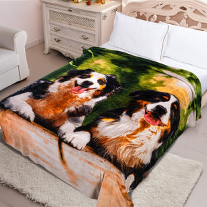 Cobija Colven 850gr 180x220 cm con dos perros tipo Bernes de la Montaña tricolor; pieza extendida sobre cama, encuadre frontal en recamara estilo vintage.