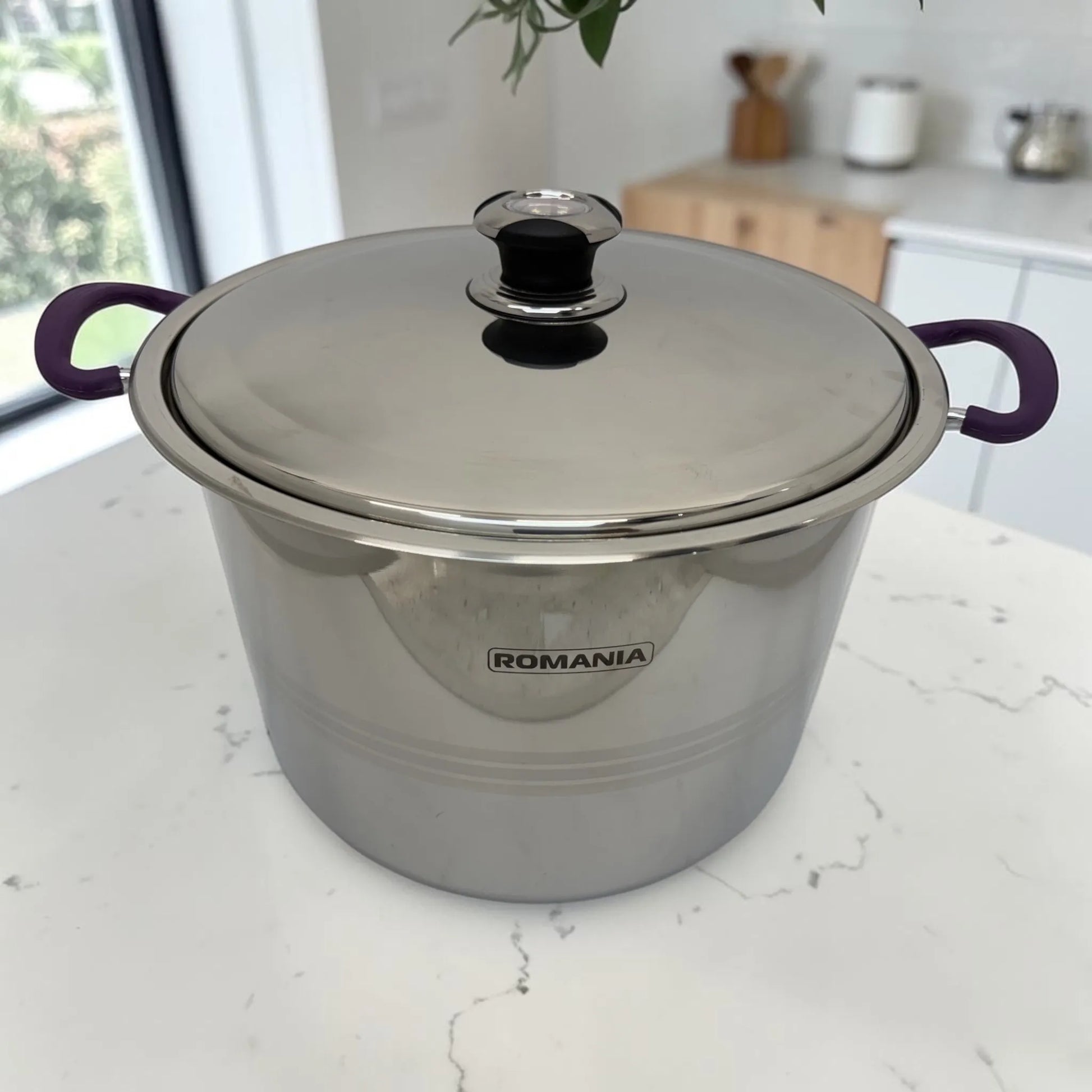 Olla individual Romania en acero inoxidable con tapa metálica y mangos púrpura, fotografiada de frente sobre encimera blanca.