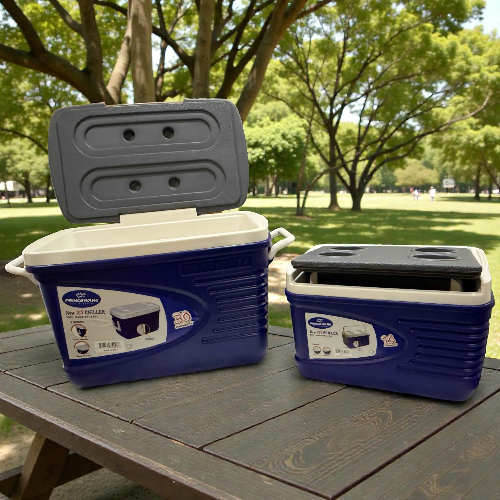 Hielera Princeware New Icy Chiller 30L con tapa abierta mostrando interior, junto a hielera 14L al lado sobre mesa de picnic en parque; set 3409-C1PB color azul con detalles blanco/gris.